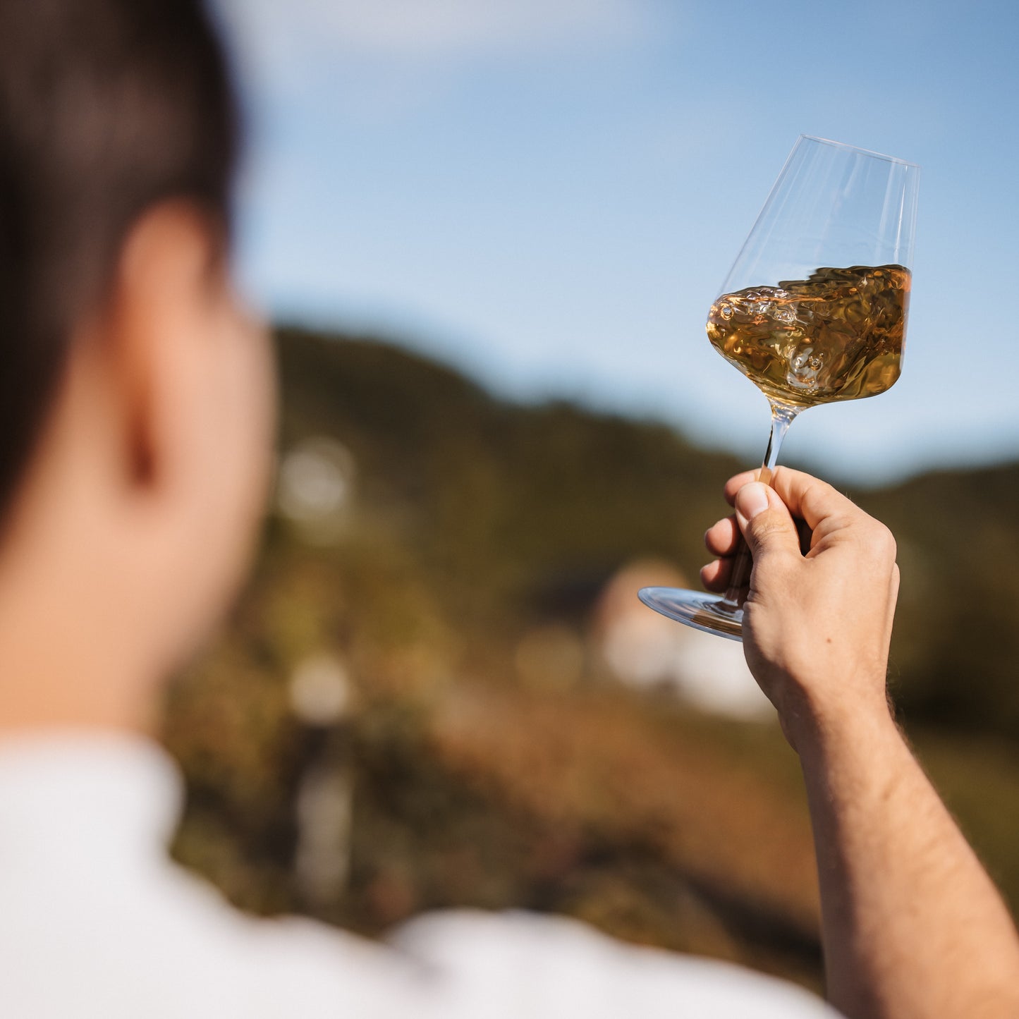 Gereifte Klassiker – Ortsweine Südsteiermark